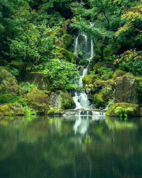 what makes Japanese whisky so special - flowing waterfall into a pond surrounded by lush green trees and plants